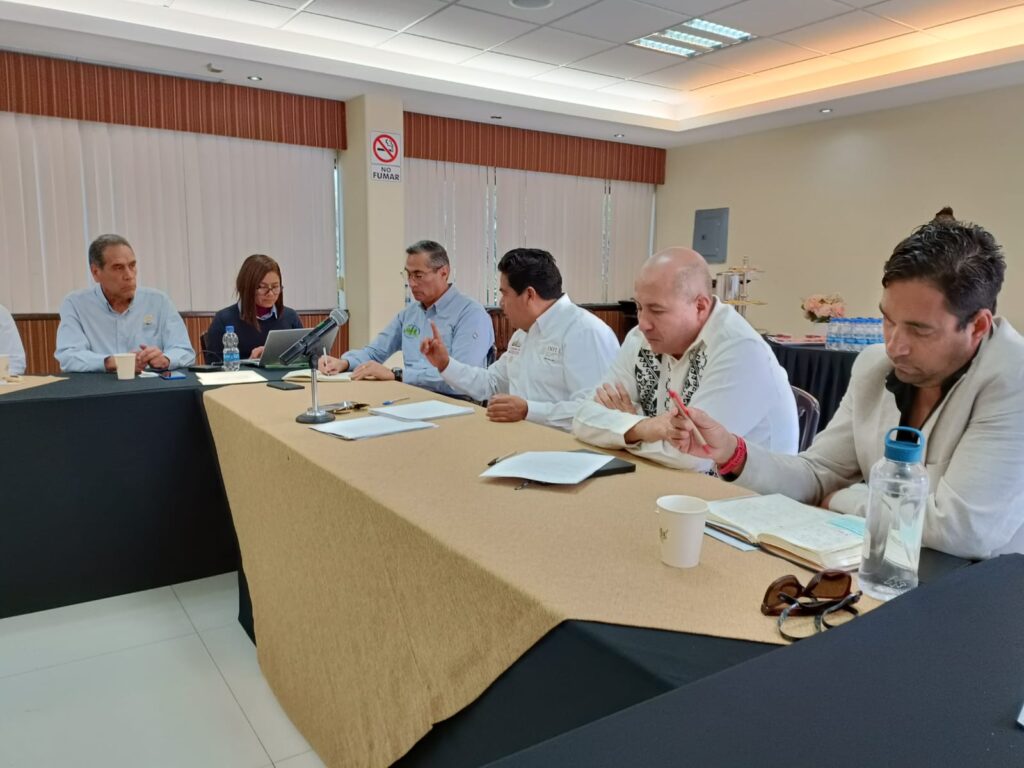 Suman voluntades Compesca y la Federación para proteger a la tortuga marina