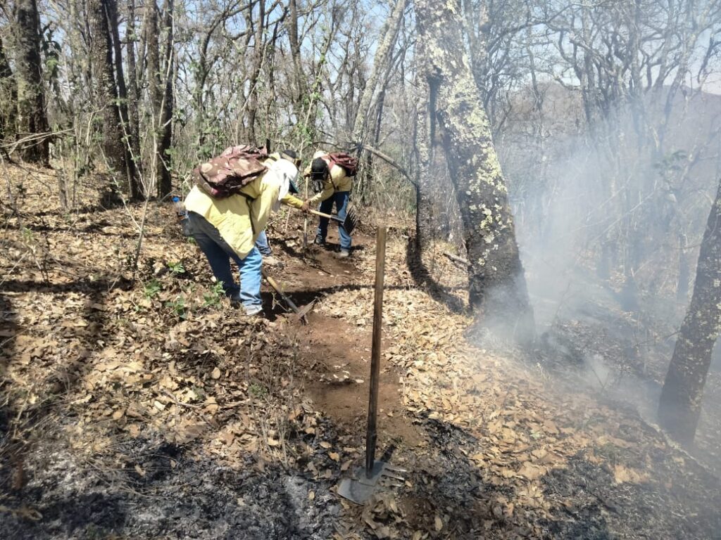 Contratado al 100% incendio forestal en Villa Jiménez: Cofom