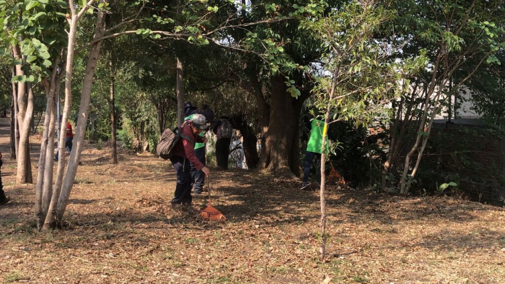 #Video Con ayuda vecinal, Gobierno de Morelia le da brillo al bosque de Cosmos
