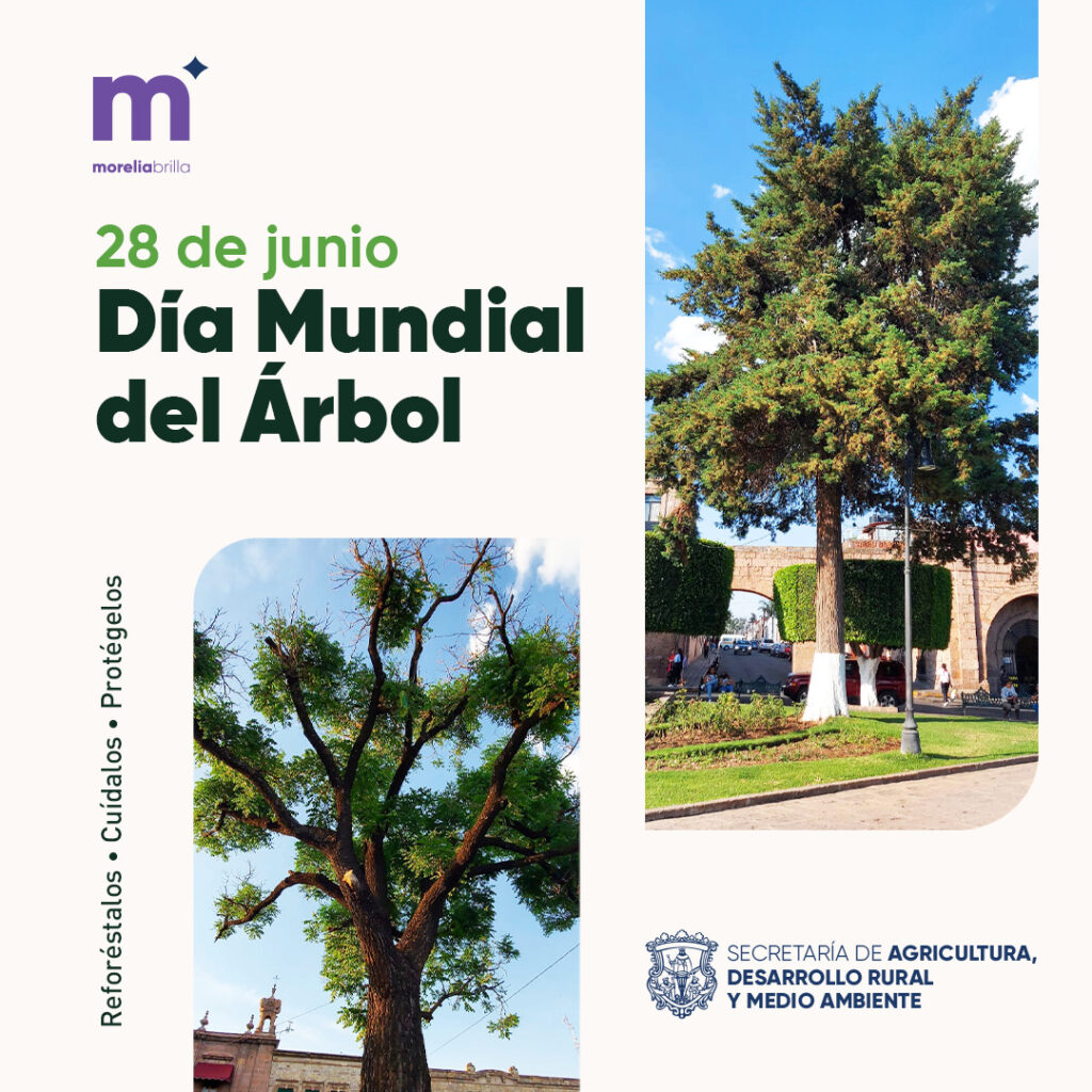 En el Día Mundial del Árbol, Morelia refrendan acciones en pro del medio ambiente