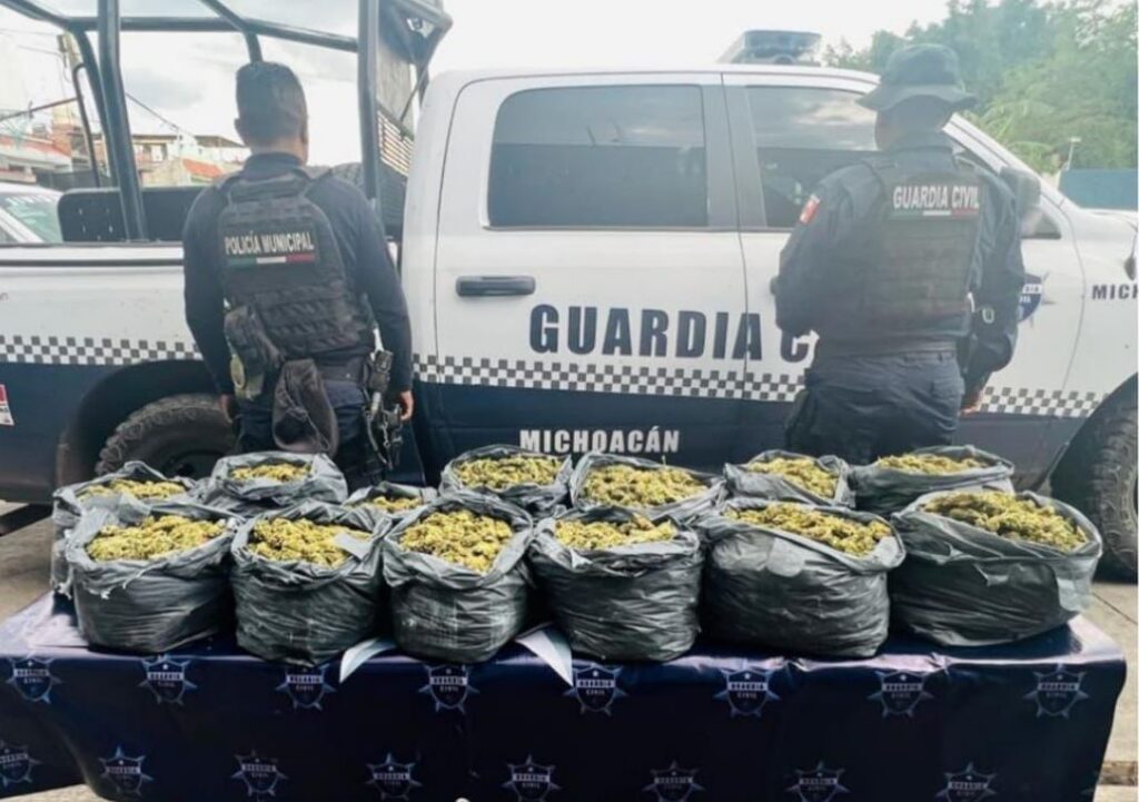 Es detenido en Jacona un hombre con 12.4 kilos de marihuana