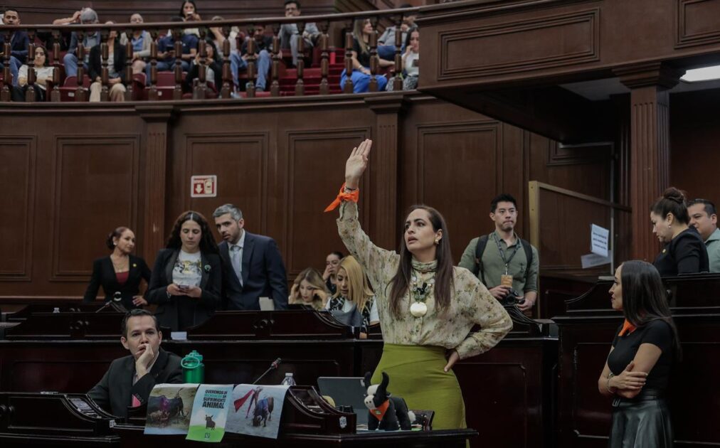 *Por un Michoacán que ponga “fin a la crueldad como espectáculo”, respalda Sandra Arreola prohibición de la tauromaquia *