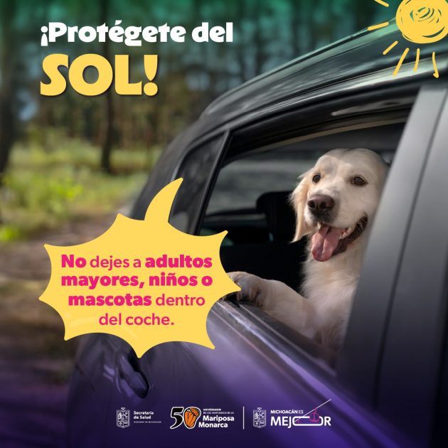 En temporada de calor, no dejes solos a niños, adultos mayores o animales dentro de vehículos: SSM