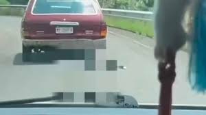 * • Denuncian caso de brutalidad animal en el municipio de Quiroga*