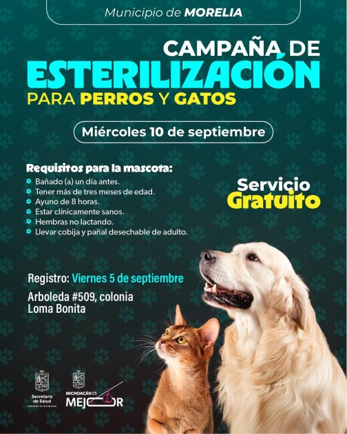 SSM ofrece jornada de esterilización gratuita de perros y gatos en Morelia