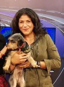 * • Juegos pirotécnicos disparan 70% reportes de perros extraviados: GHAPAD*