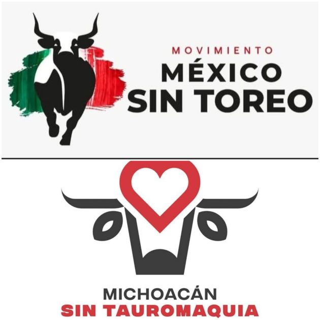 • Repudio total a la corrida de toros: activistas exigen aplicar la ley