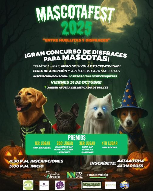 Invitan a la 4ª edición del Mascotafest: convivencia, adopción y causa animal