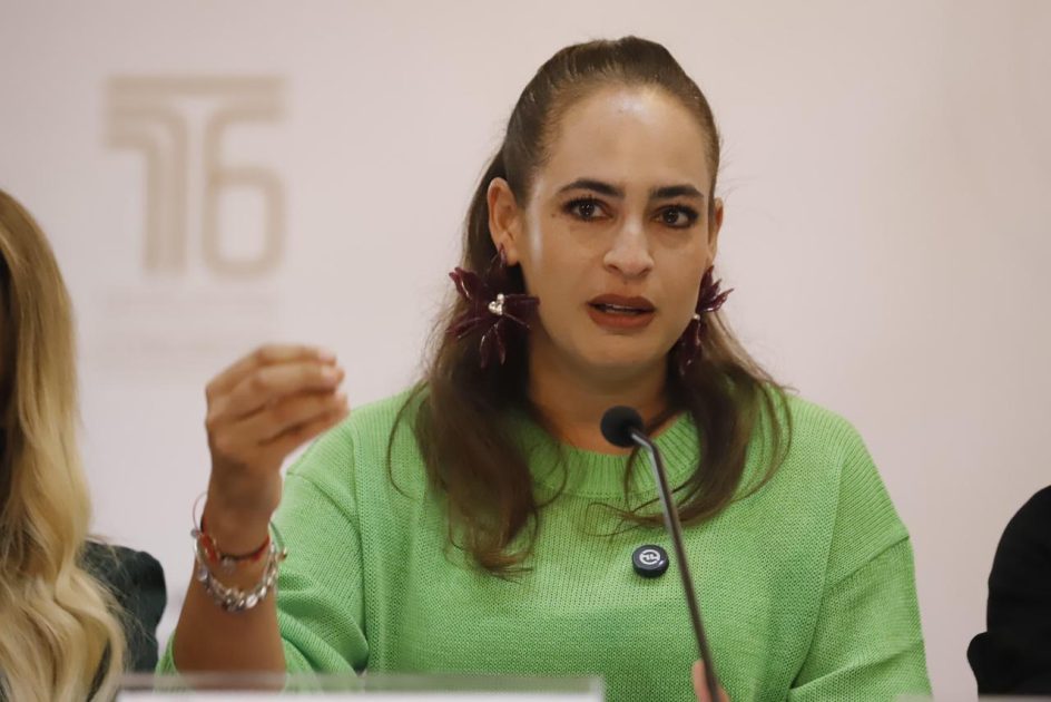 La protección de quienes defienden la tierra debe ser prioridad nacional: Sandra Arreola