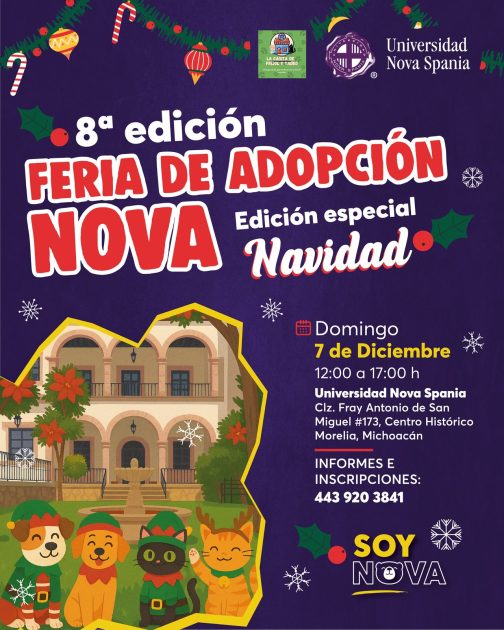 • Feria navideña de adopción: 20 lomitos y michis buscan familia para cerrar el 2025