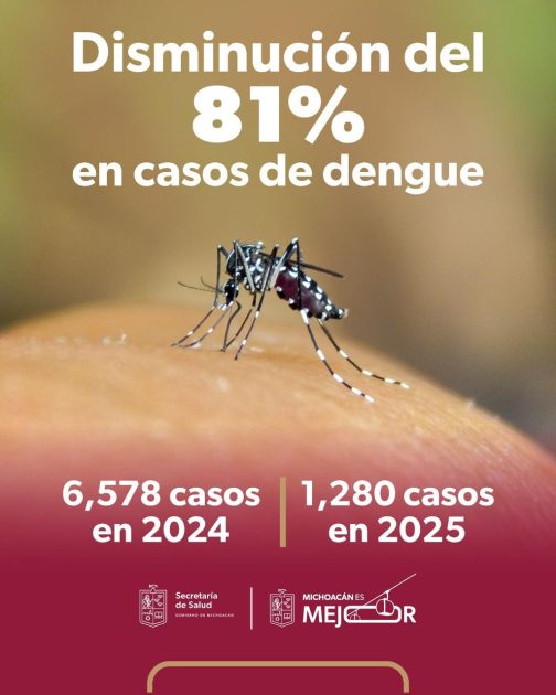 En 2025, Michoacán registró 81 % menos casos de dengue: SSM