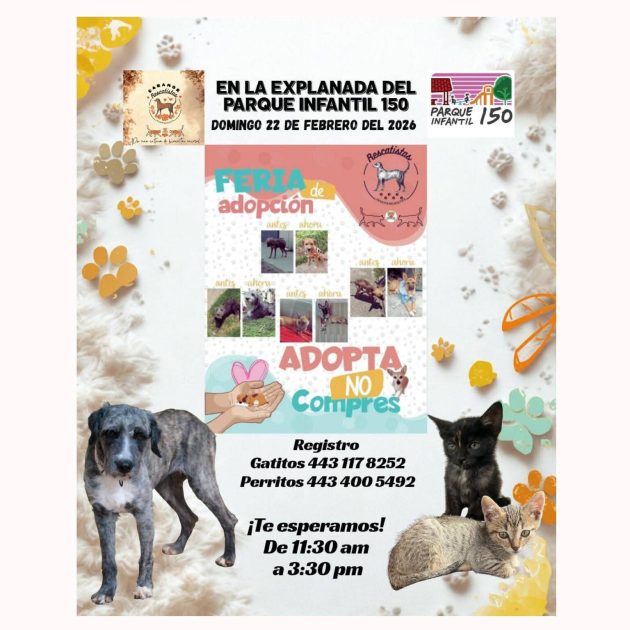 • Adopta con Rescatistas Independientes y dale hogar a quien solo pide amor